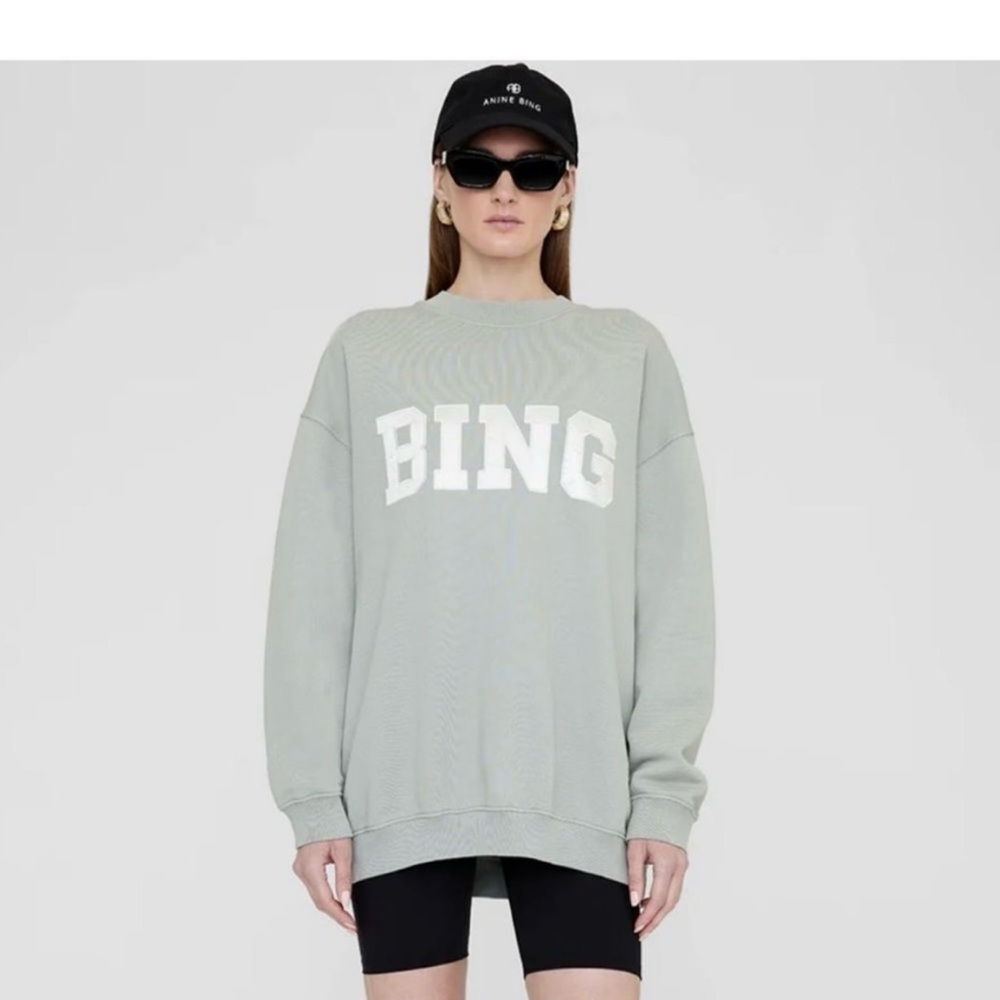 Anine bing tyler sweatshirt